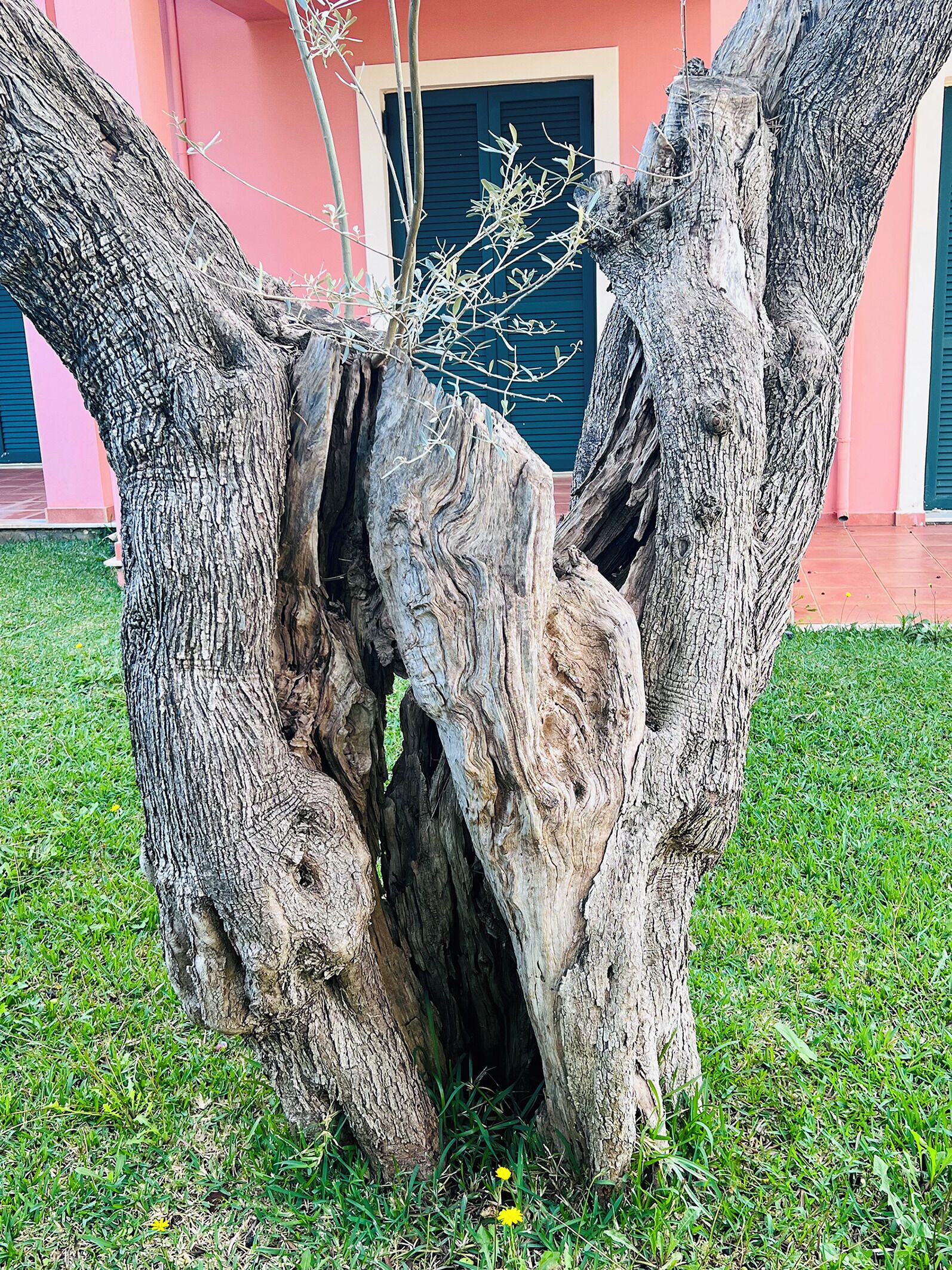 Detalhe da fachada