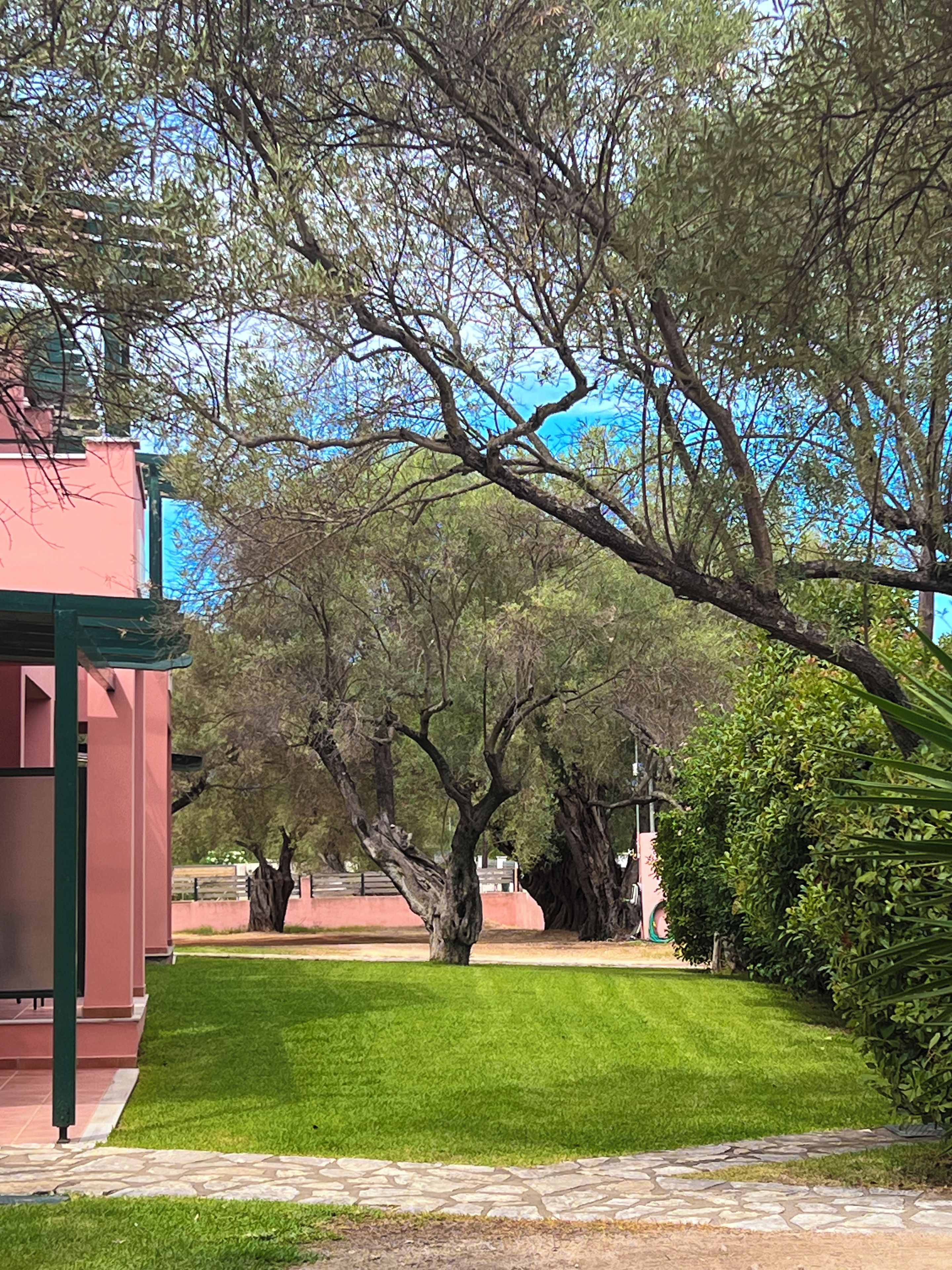 Un prato curato con un vialetto in pietra che conduce a un edificio con tetto verde.
