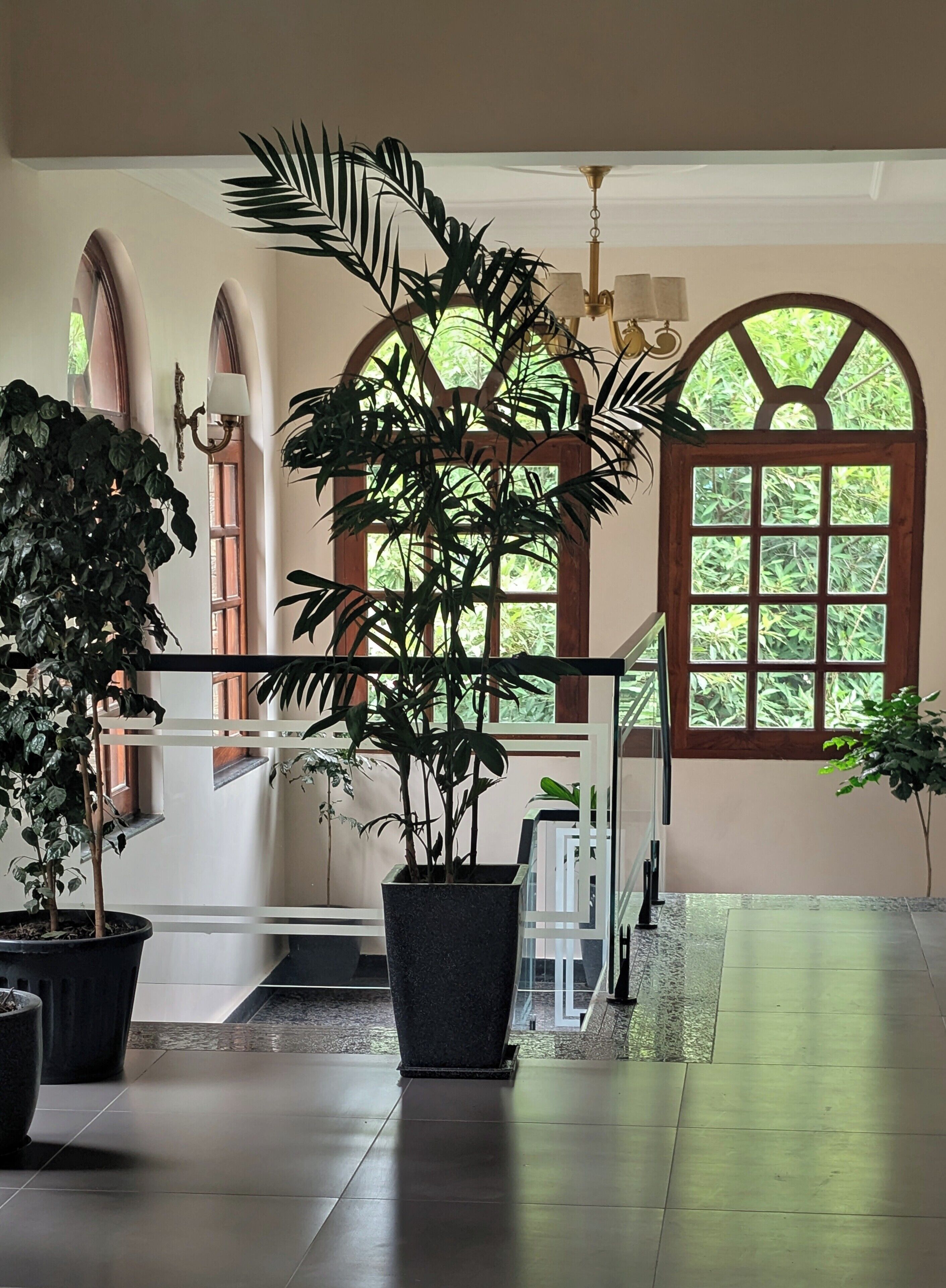 A spacious indoor area with large windows, potted plants, and a modern staircase.