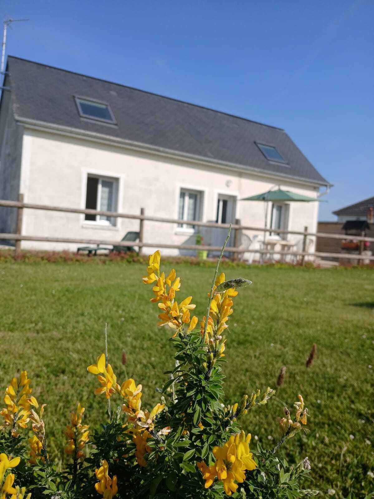 Ulkoalueet