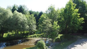 A riverside view with trees, a grassy area, and a stone path.