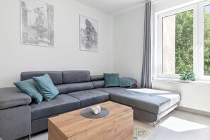 Fernseher, Arbeitsbereiche