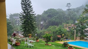 Un rigoglioso giardino con piscina, piante in vaso e un grande albero.