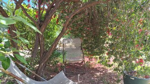 Uma cadeira balanço em rede, uma cadeira de metal e uma planta em vaso em um jardim.
