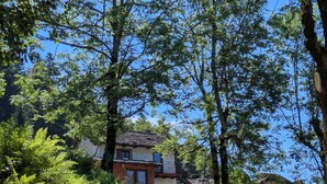 Een rustiek huis met een onverhard pad er naartoe, omgeven door weelderige begroeiing en bomen.