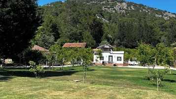 Jardim