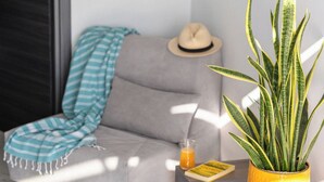 A modern living room with a grey sofa, a striped throw blanket, a small table with a drink, a hat, and a potted plant. - Sani Gulf I & II (Kassandra)