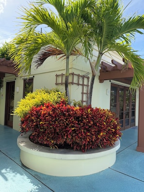 A circular planter with a palm tree and colorful shrubs in front of a building with a tiled floor and a brown awning.