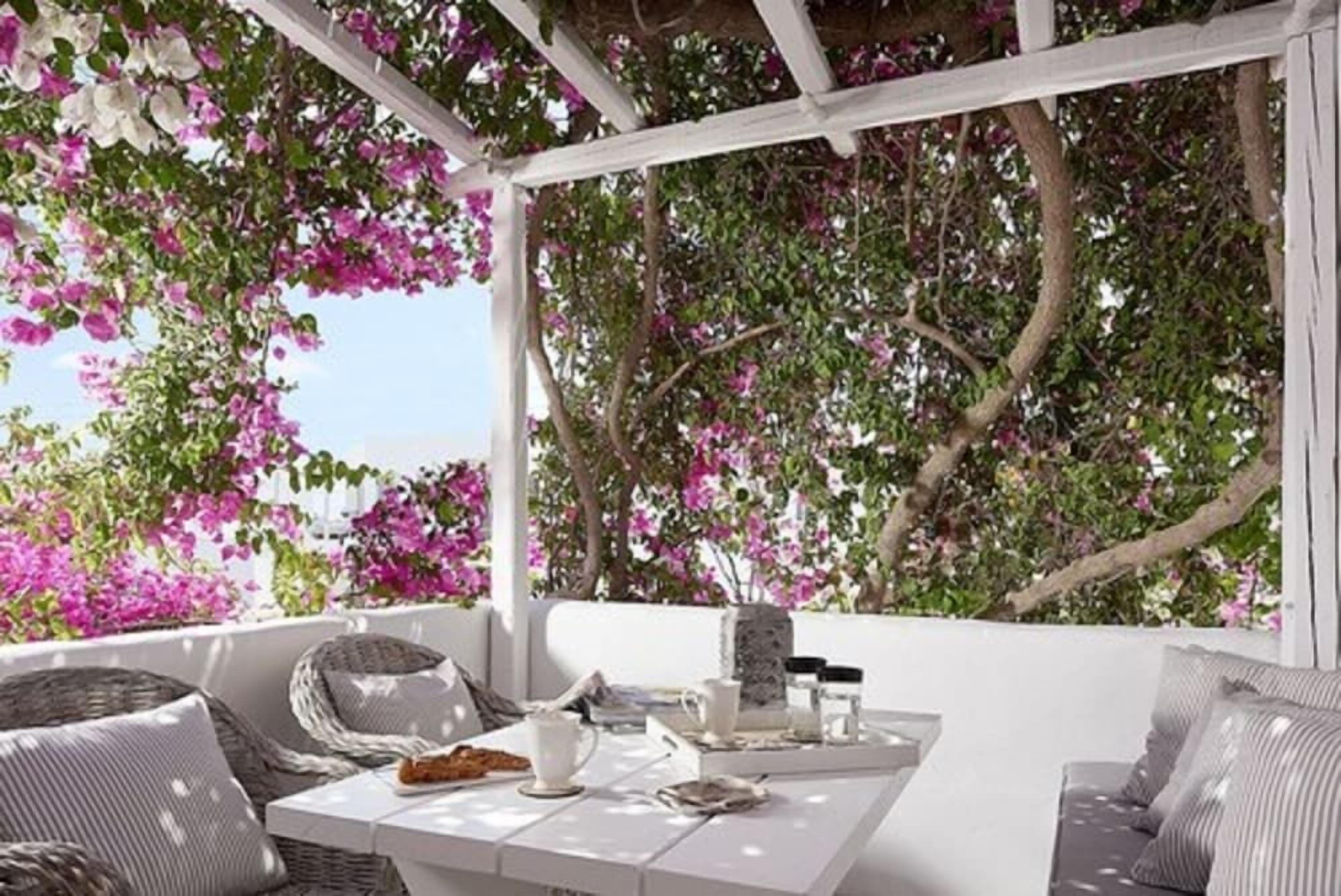 Uma área de estar ao ar livre com mobiliário branco, uma mesa posta com xícara, pires e um prato de comida, cercada por flores cor-de-rosa em flor.