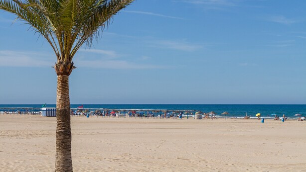 A beach with a palm tree, clear sky, and a calm sea. - Apartment 'Ducal Mar' with Shared Garden, Wi-Fi and Air Conditioning (Grau i Platja)