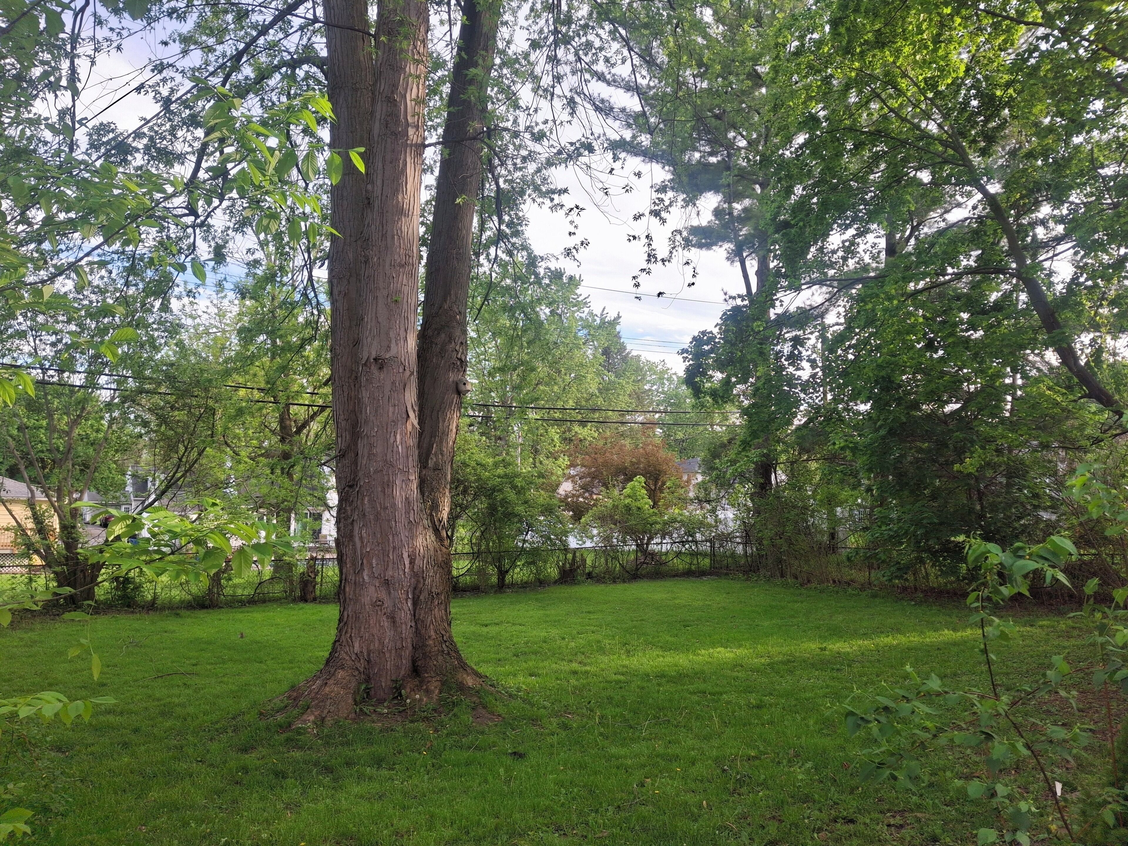Boendeområde