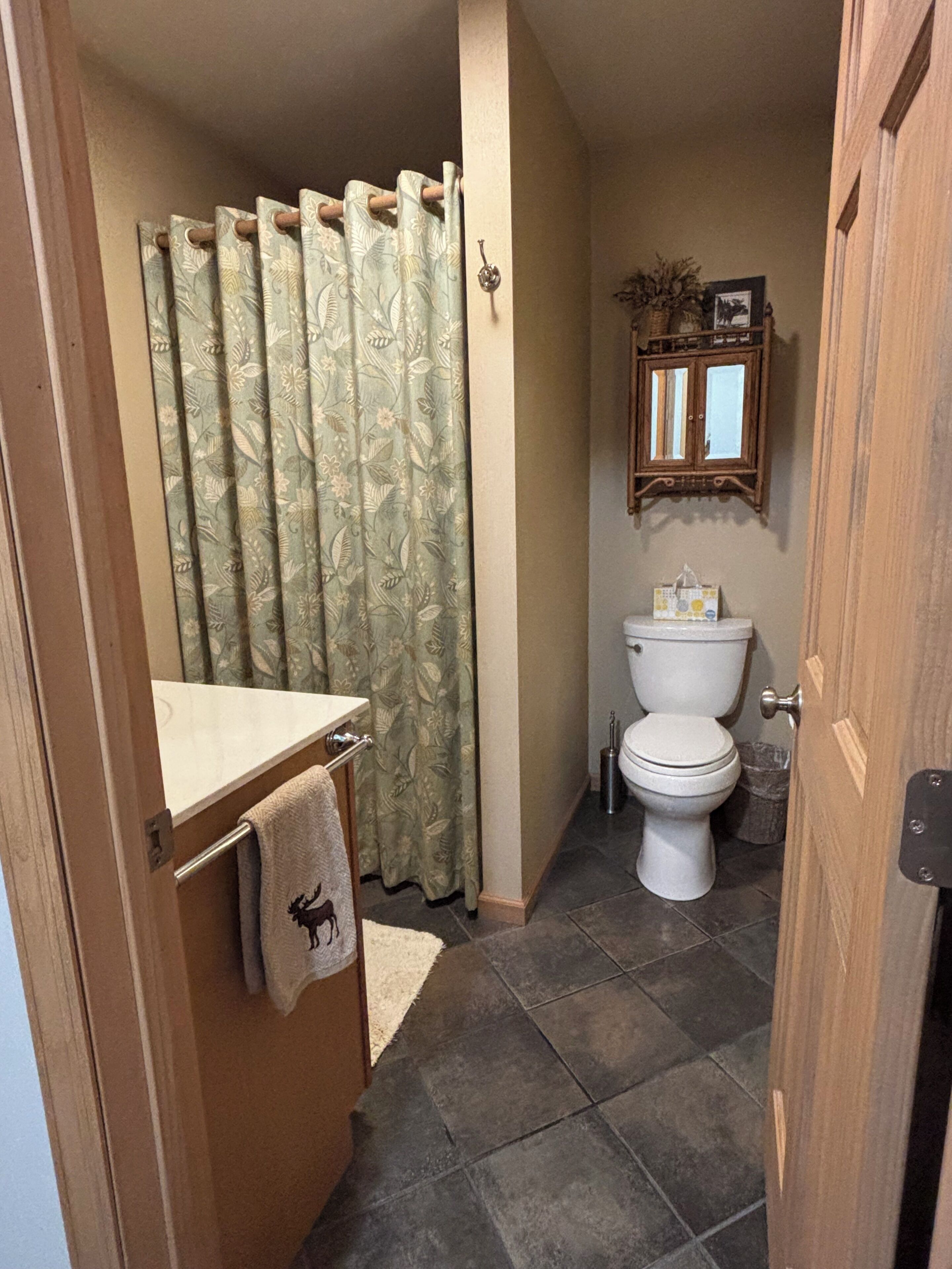Shower, hair dryer, toilet paper