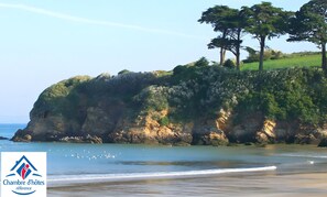 Playa en los alrededores 