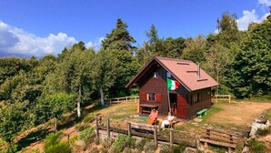 Une cabane en bois avec un toit rouge, entourée d’arbres et d’une clôture en bois.