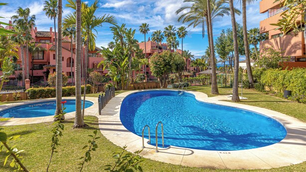 Una piscina de vora corba, envoltada d'arbres de palmera i un jardí ben cuidat.