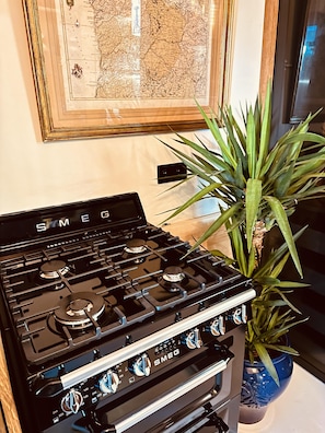 A black stove with four burners and a control panel, a framed map on the wall, and a potted plant.