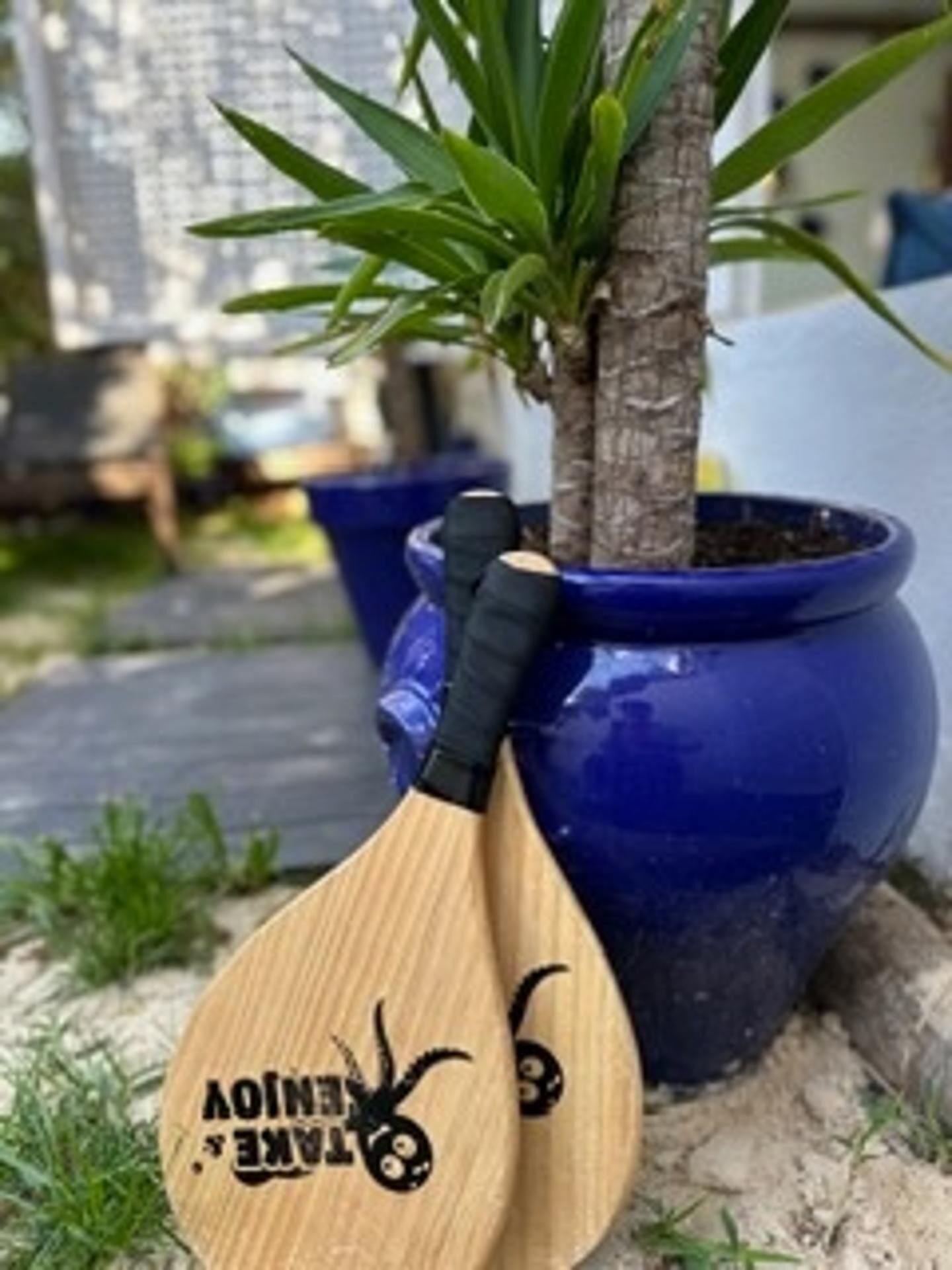 Un petit arbre dans un pot bleu, une cuillère en bois ornée d’un motif d’araignée et un objet noir en arrière-plan.