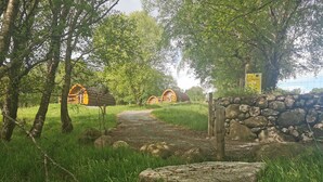 A pathway leading to rustic wooden cabins surrounded by lush greenery. - Glamping Pod - Glendalough (Laragh)