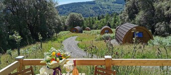 Glamping Pod - Glendalough