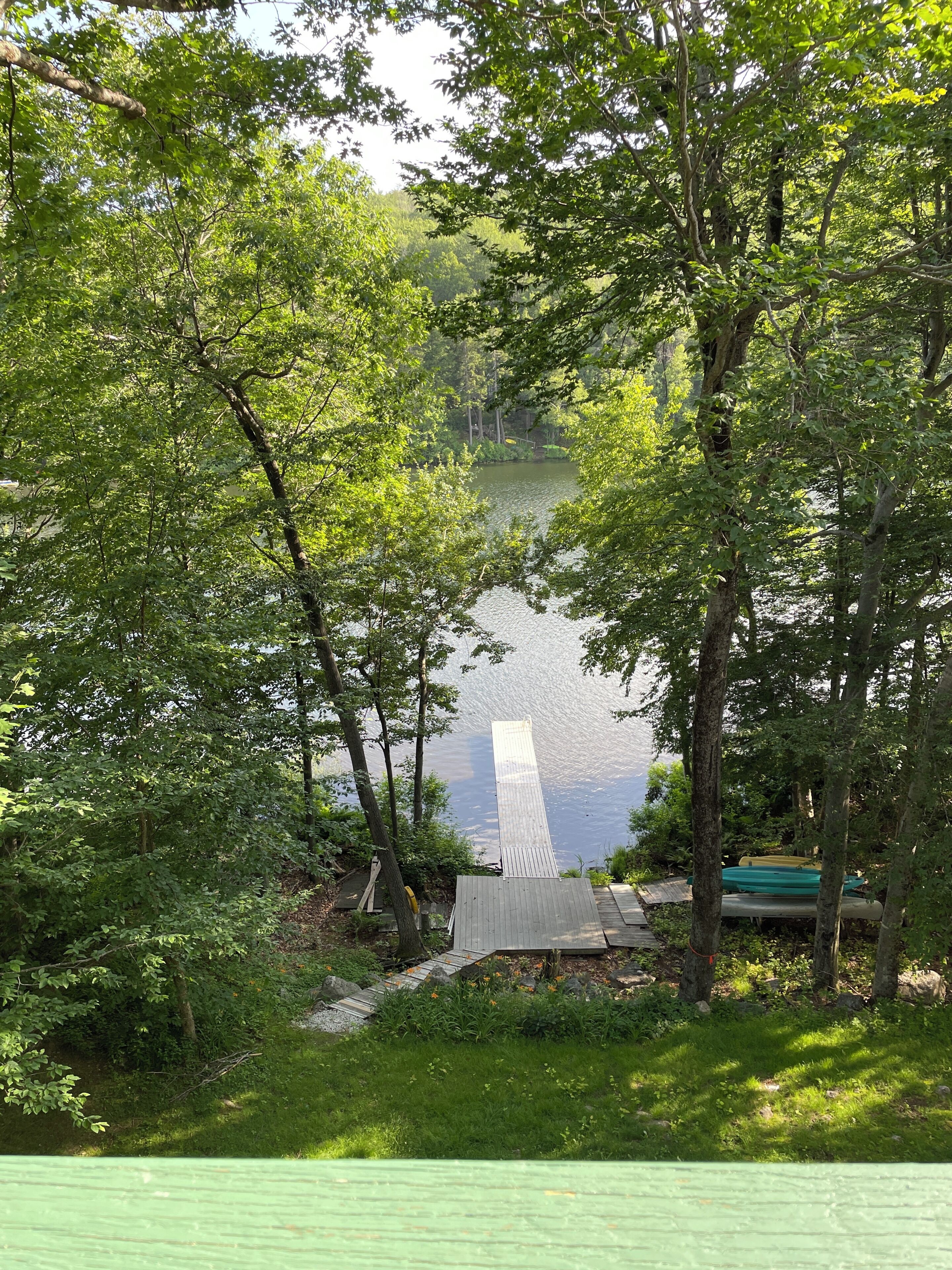 A serene lakeside setting with a wooden dock extending into the water, surrounded by dense foliage.