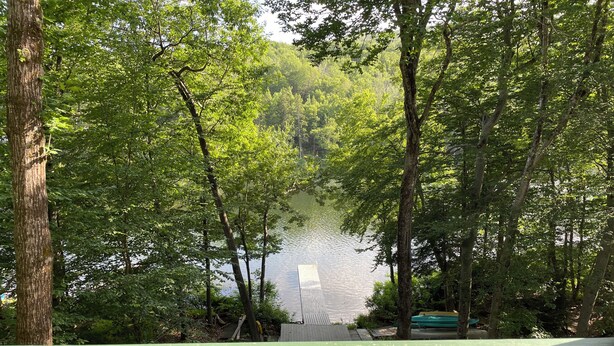 Eine Terrasse mit Blick auf einen See, der von Bäumen umgeben ist.