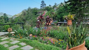 A garden with stone pathways, potted plants, and a variety of flowers. - Apartment with kitchenette, 2 bedrooms and private bathroom. (Teresópolis)