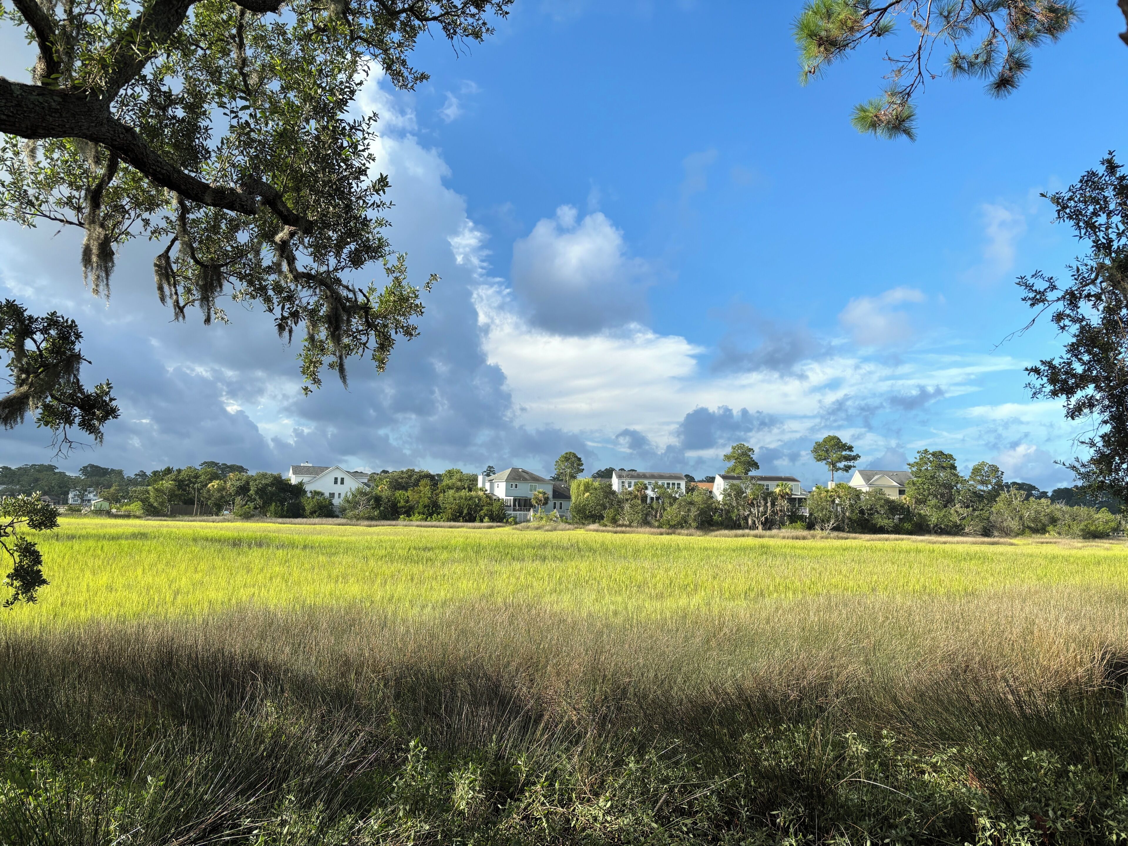 A rural landscape with a field, trees, and houses in the background.