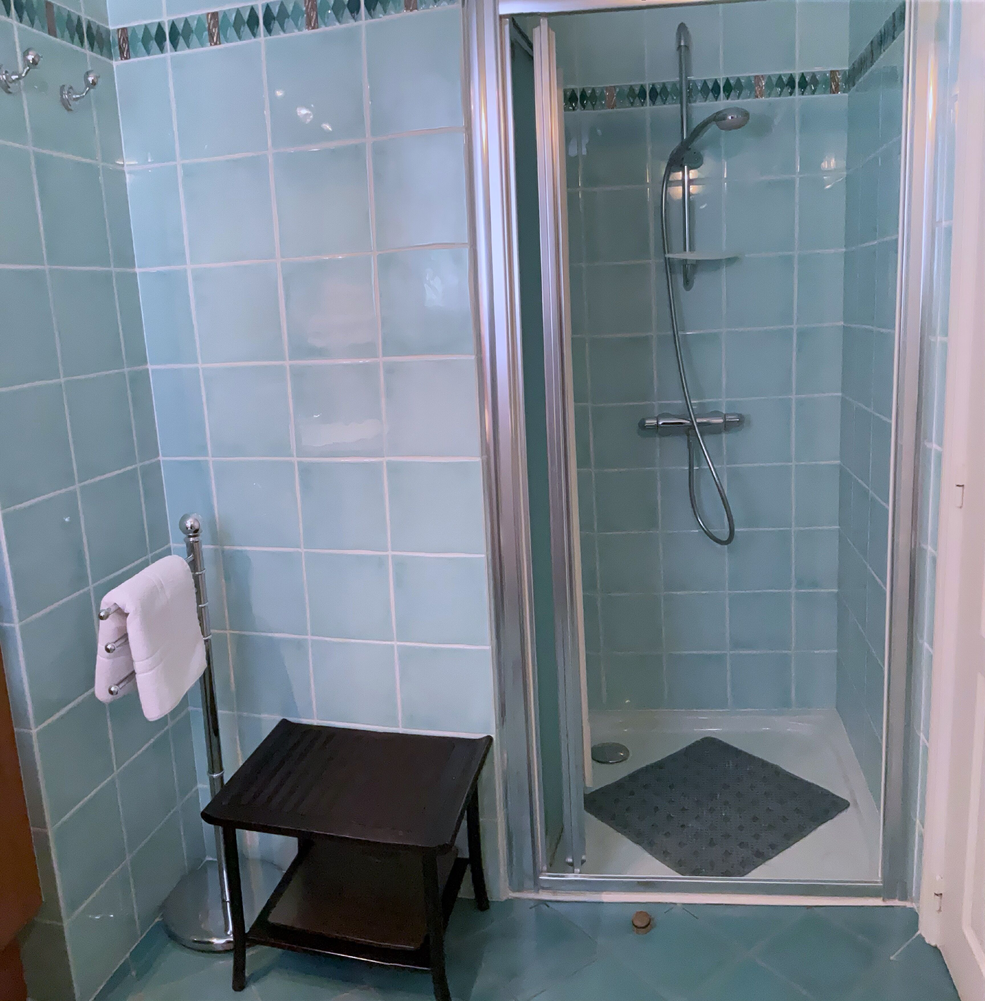 Shower, towels, soap, toilet paper