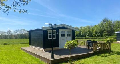 4 Star Holiday Home in Ansager