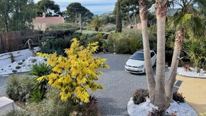 Uma entrada de casa com um carro branco estacionado, cercada por plantas e árvores.