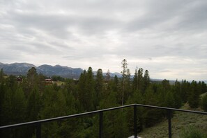 A forested landscape with mountains in the distance and a building partially obscured by trees.