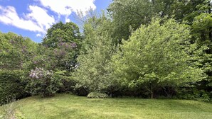 A grassy area with trees and shrubs.
