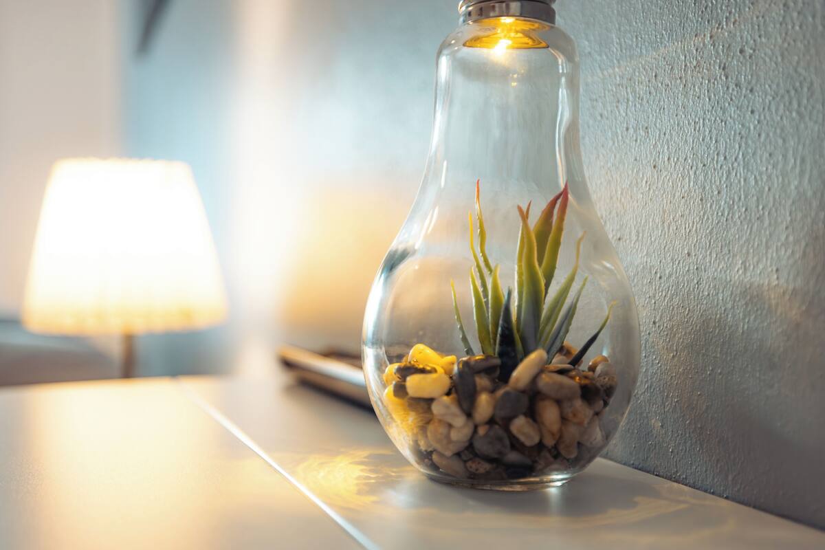 A clear glass vase with plants and stones on a table.