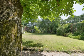 Un espace extérieur verdoyant, avec un arbre et un bâtiment en arrière-plan.