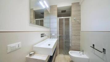 Shower, hair dryer, bidet, towels
