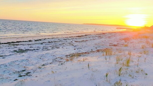 Una playa con atardecer, orilla arenosa y vegetación escasa.