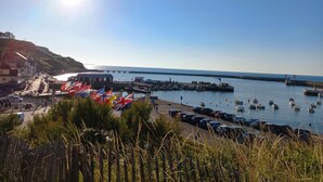 Un port de plaisance situé sur la côte, avec des bateaux, une jetée et un ciel dégagé.