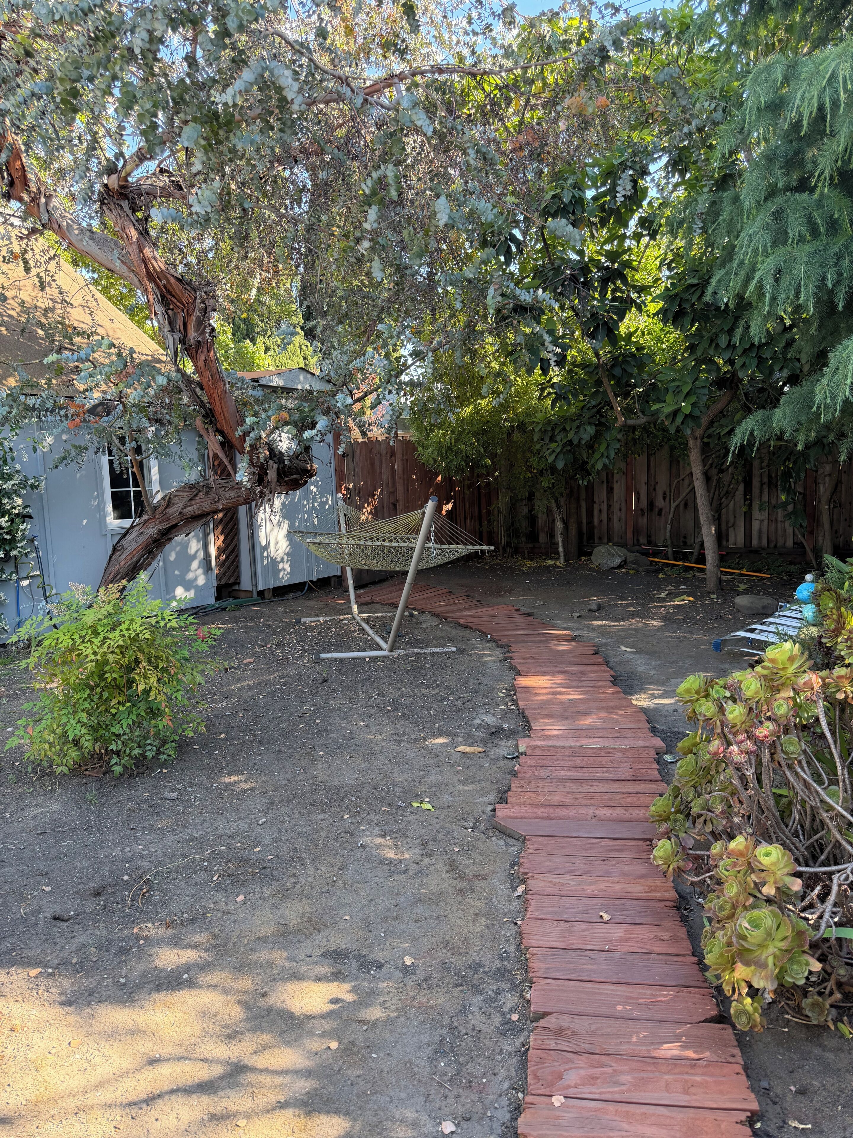 Ein Garten mit einer Holzterrasse, einer Hängematte und verschiedenen Pflanzen.