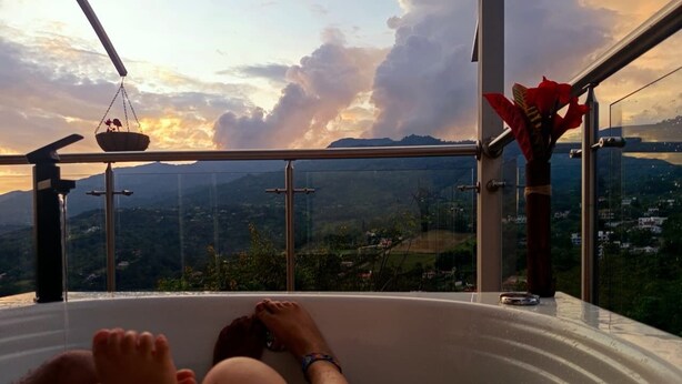 A bathtub with a view of a landscape, a hanging plant, and a window.