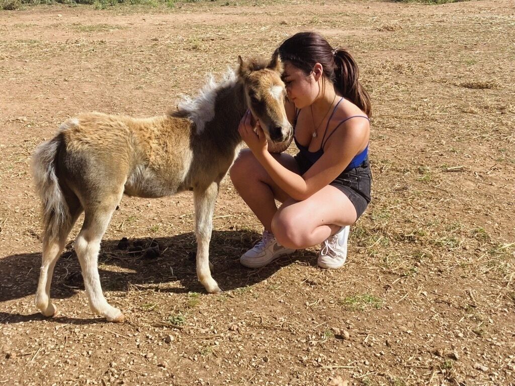 A person crouching next to a pony in an open field.