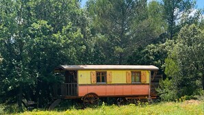 A yellow and red wooden cabin with a porch, surrounded by a grassy field with wildflowers and trees in the background.