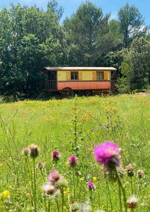 Property grounds - Bohemian caravan in the heart of nature with horses and donkeys (Jouques)