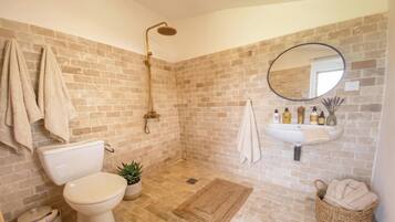 Shower, towels, soap, toilet paper