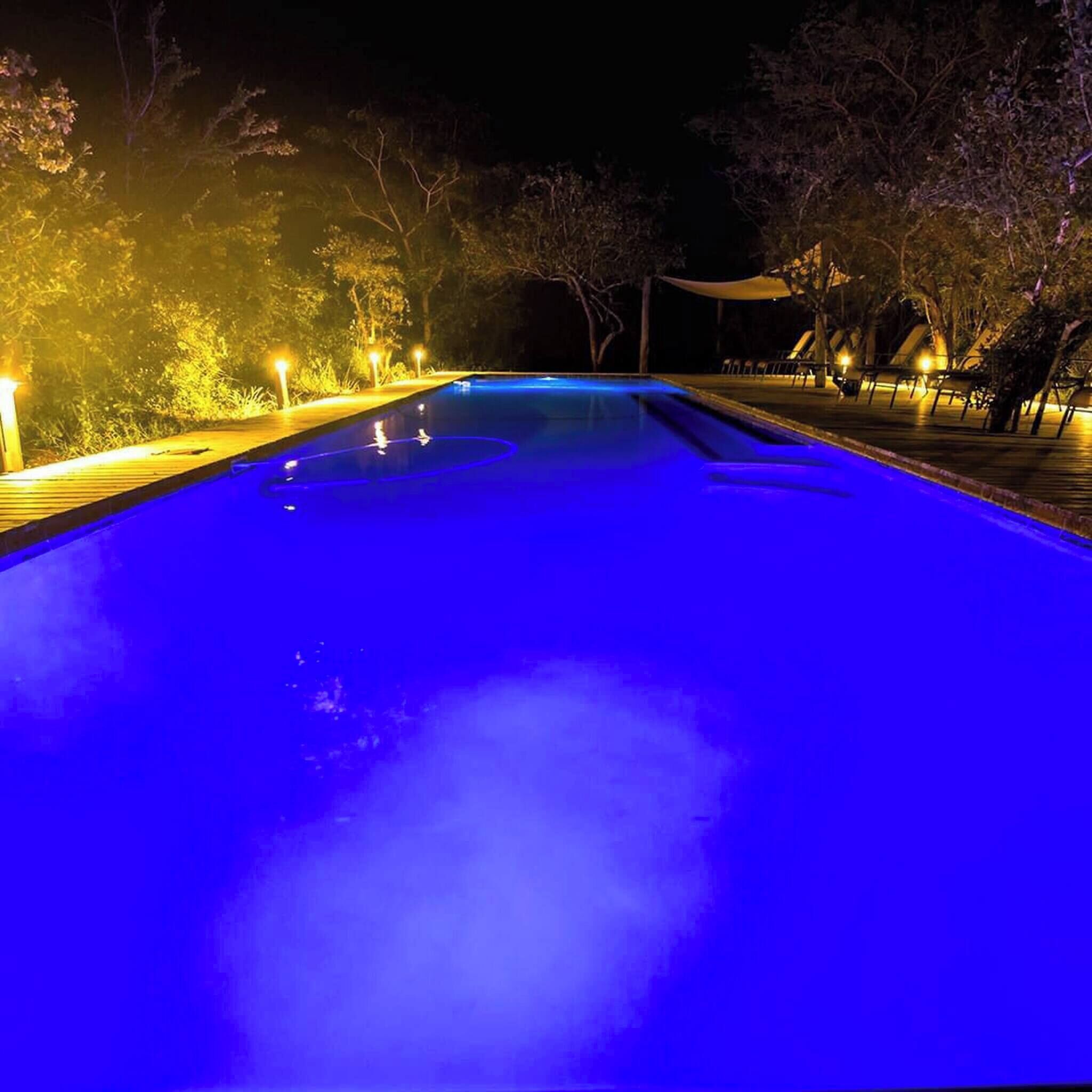 حمام سباحة
