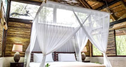 Room-royal Thonga Safari Lodge - Private