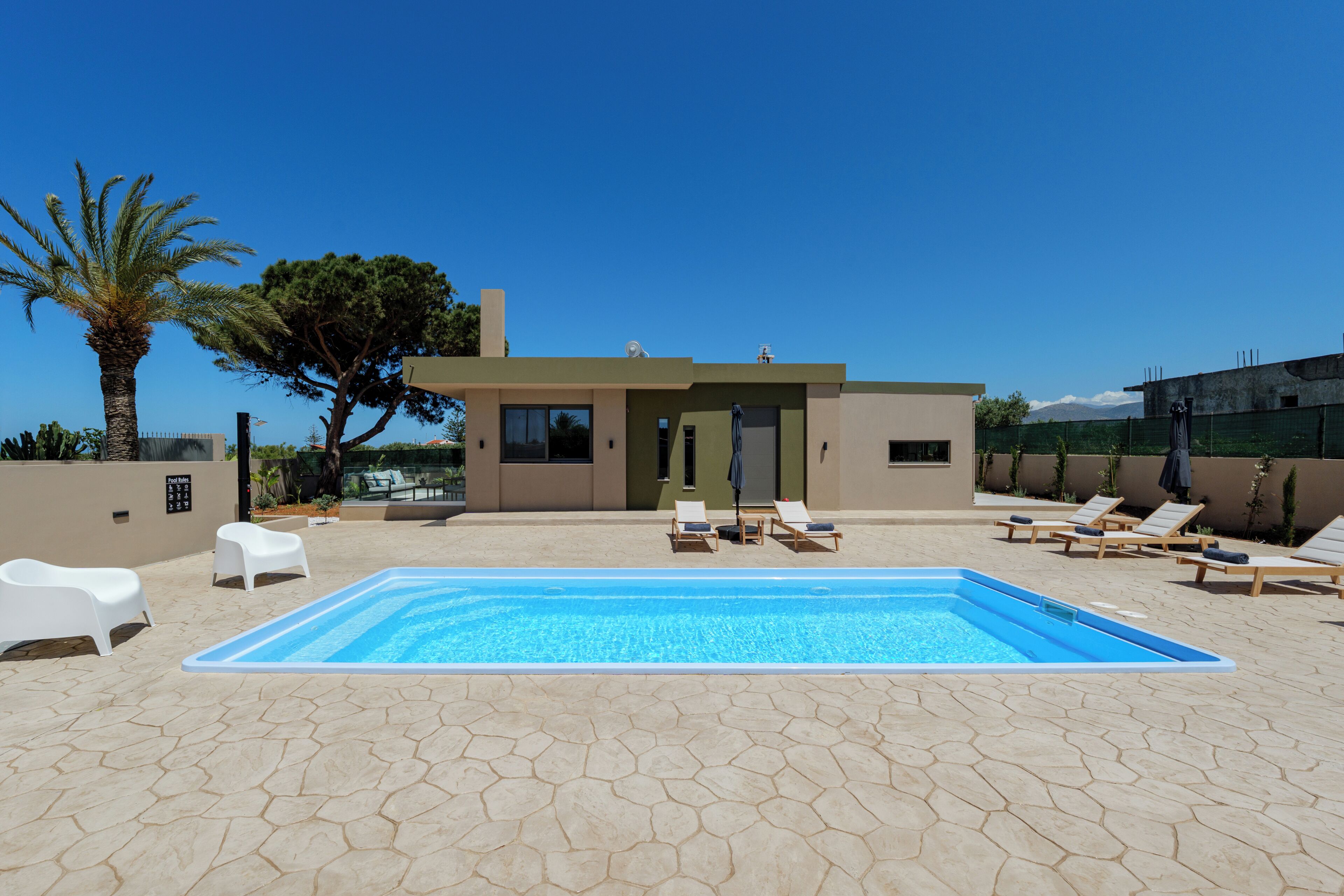 Une piscine sur le toit, agrémentée de chaises longues, un bâtiment moderne et un palmier.
