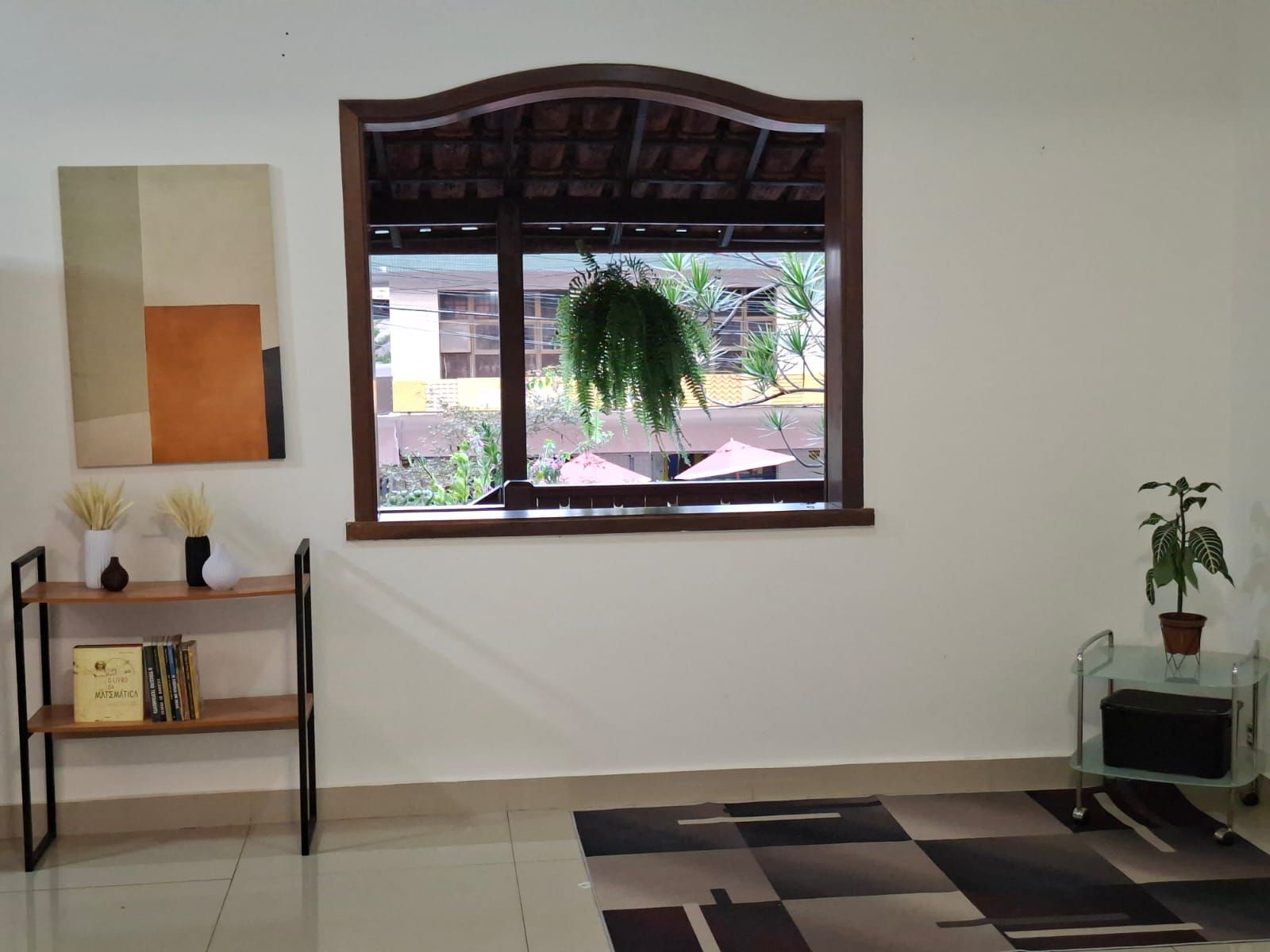 Una habitación con ventana, una estantería, una planta en maceta y una alfombra estampada.