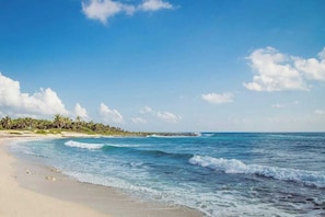 A beach with clear blue water, a sandy shore, and a line of palm trees in the distance.