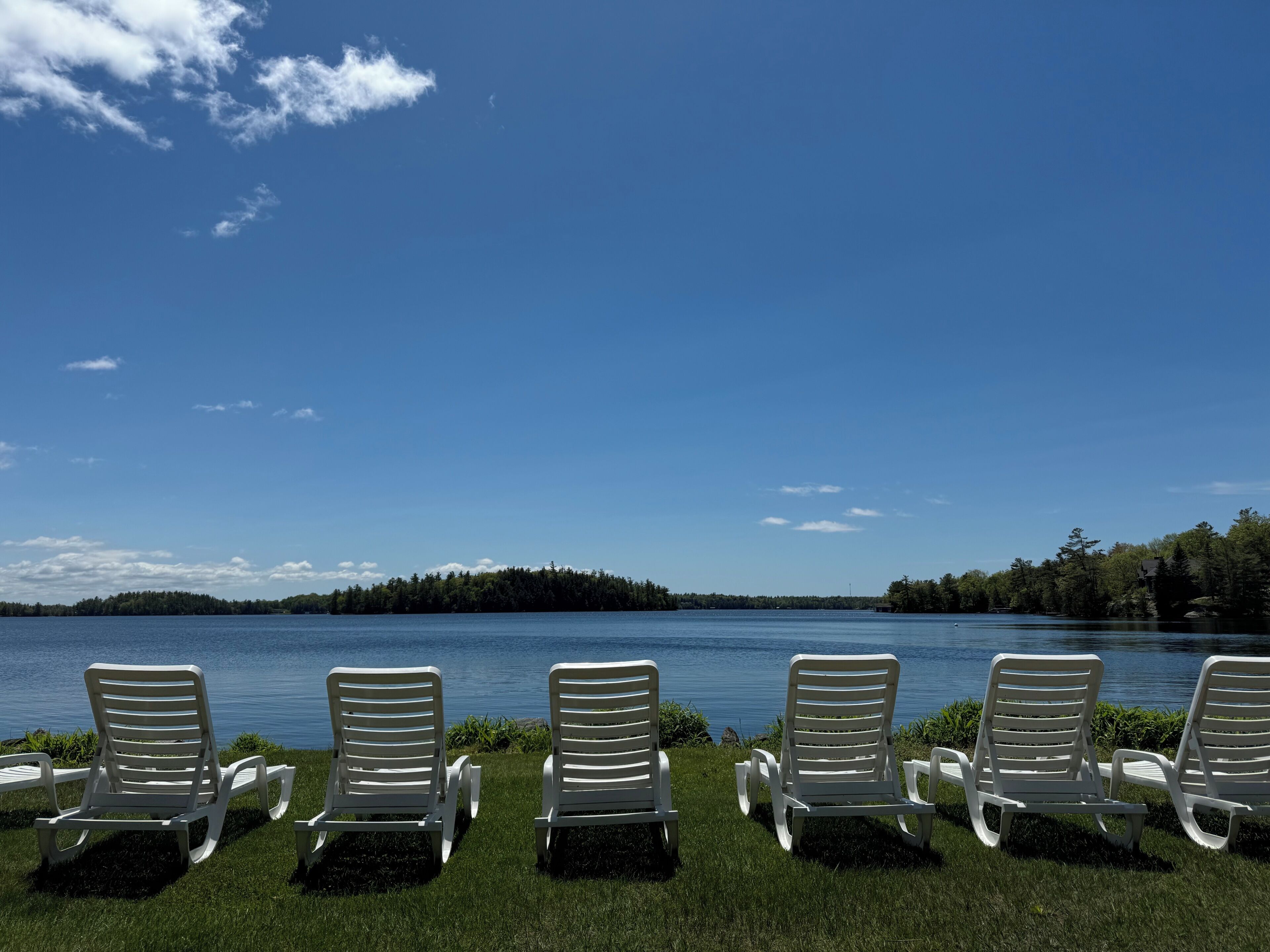A row of white lounge chairs facing a lake with a clear sky.