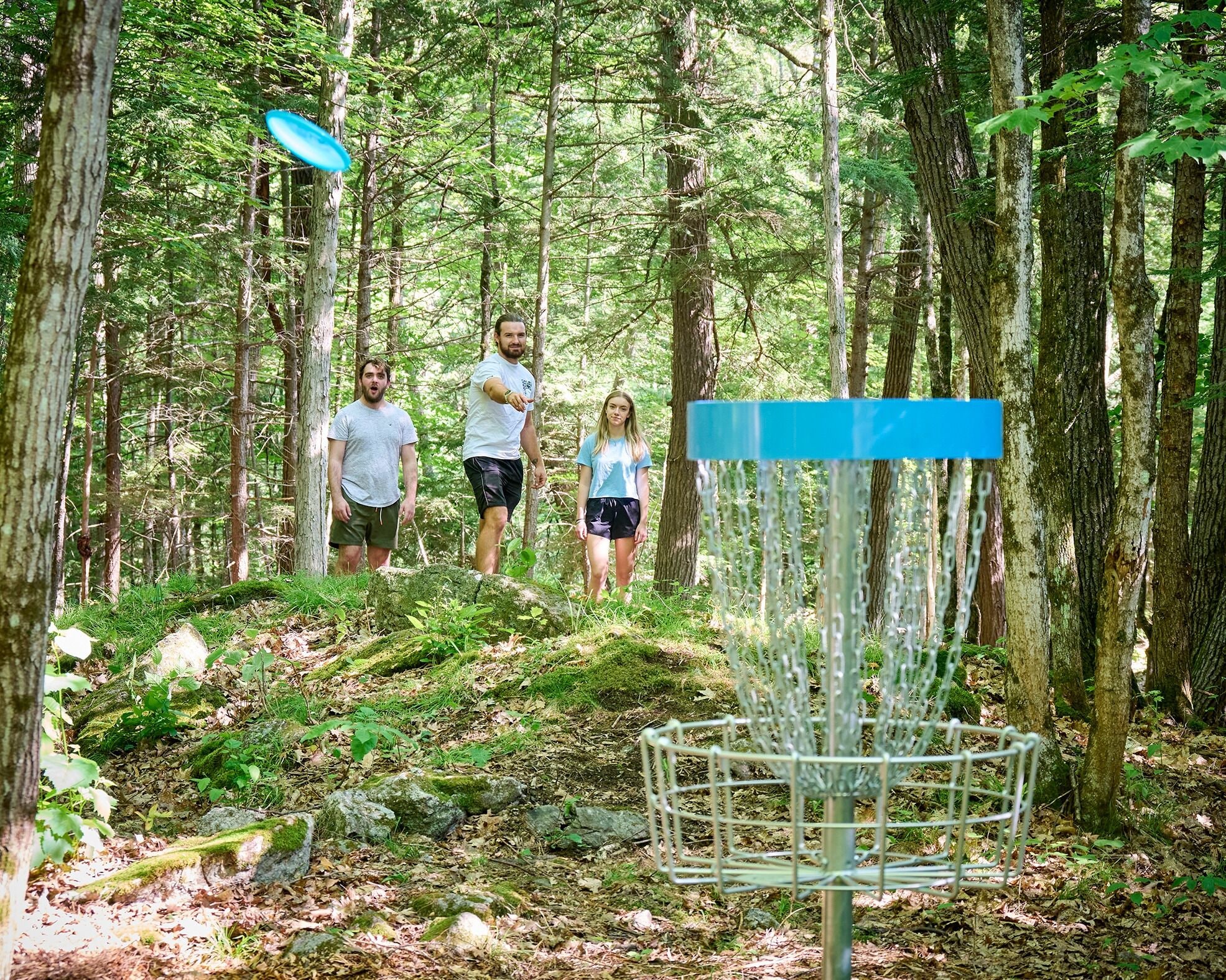 A forested area with a metal disc golf basket and a frisbee in mid-air.